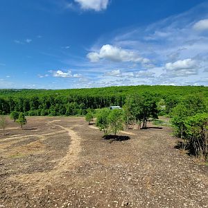 Hovatter's - Elk, white bison