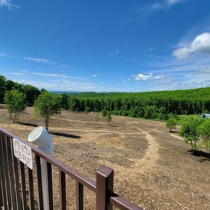 Hovatter's - Elk, white bison