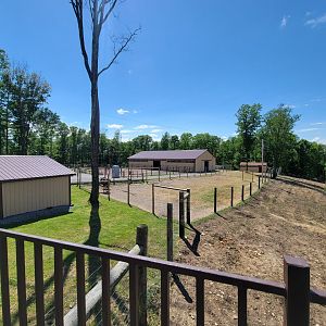 Hovatter's - View of ostriches from elk overlook