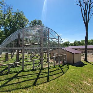 Hovatter's - Japanese macaques