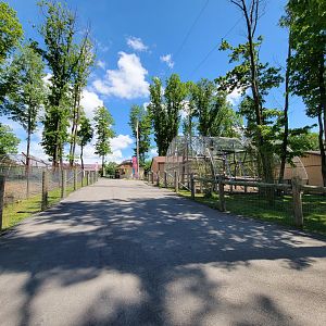 Hovatter's - Looking back to ice cream shop, lions, etc