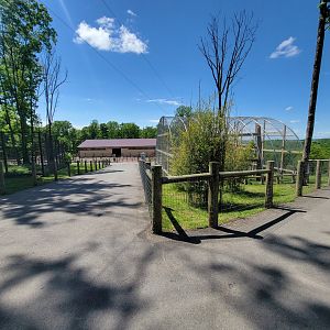 Hovatter's - Japanese macaques, right path goes to elk overlook