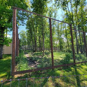 Hovatter's - Grizzly bear