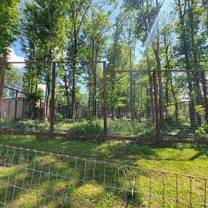 Hovatter's - Grizzly bear