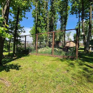 Hovatter's - Grizzly bear