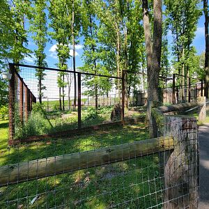 Hovatter's - Grizzly bear