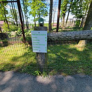 Hovatter's - Food you can toss to the Grizzly bear