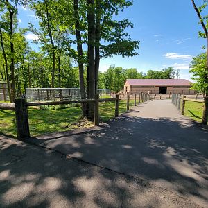 Hovatter's - Path back to camels