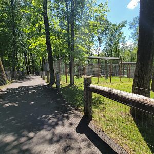 Hovatter's - Path, Kodiak bear