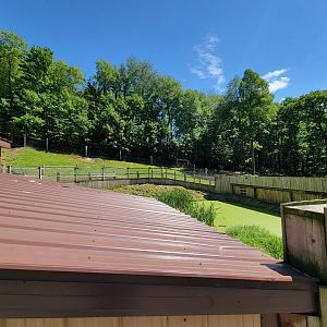 Hovatter's - Alligators in foreground, eland on hill