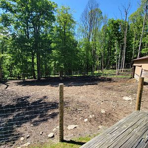 Hovatter's - Cattle yard