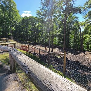 Hovatter's - Common eland