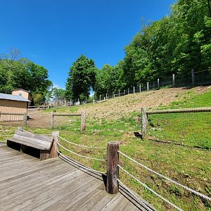 Hovatter's - Goat yard