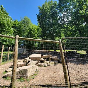 Hovatter's - Gray wolves