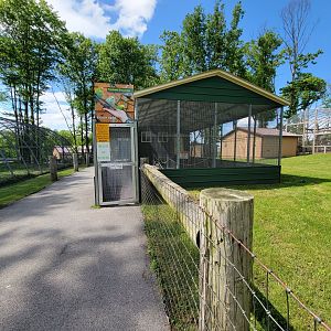 Hovatter's - Budgie area