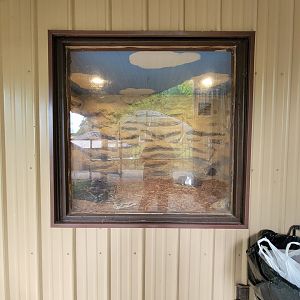 Hovatter's - Unsigned large snake