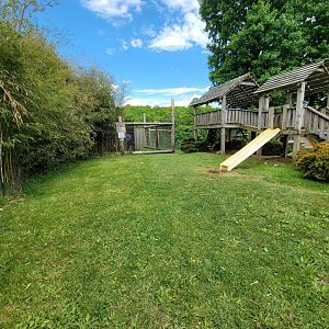 Hovatter's - Playground, Chimpanzee #2