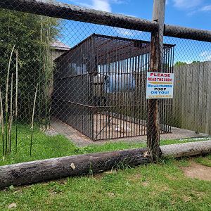 Hovatter's - Chimpanzee #2