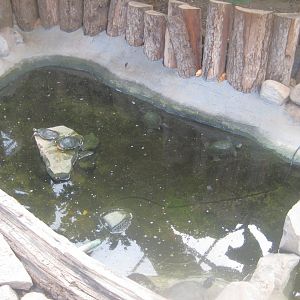 Odsherred Zoo - Paraná - Turtle exhibit