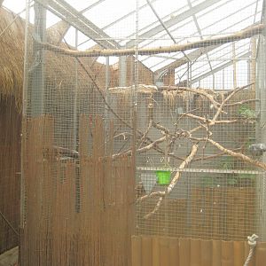 Odsherred Zoo - Paraná - Parrot aviary