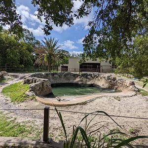 Indian rhino habitat