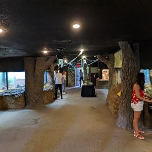 Interior of herpetarium