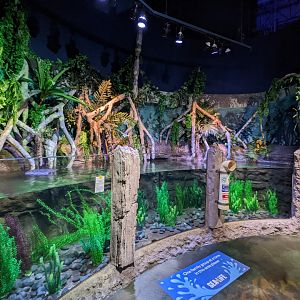 Wider view of long everglade tank