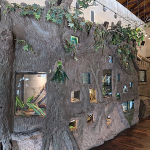 Inverterbrate display in the Discovery Center