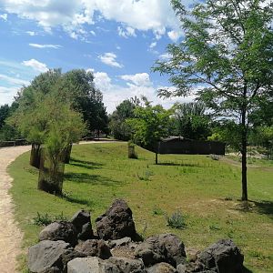 Oceania - Walkthrough with Wallaby