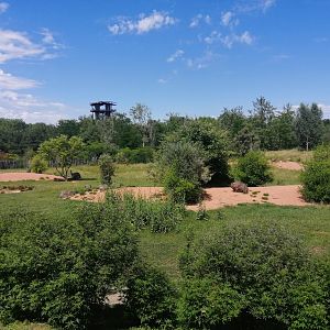 Oceania - Australian plain