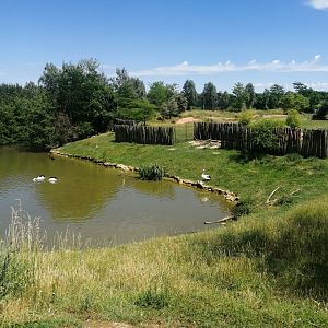 Oceania - Pelican exhibit