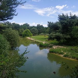 South America - Pampas exhibit