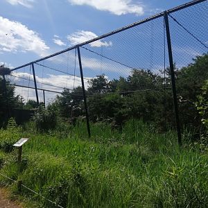 South America - Andean condor and ibis aviary