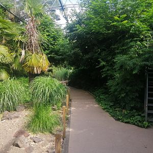 South America - Pantanal Aviary (Species list in comment)