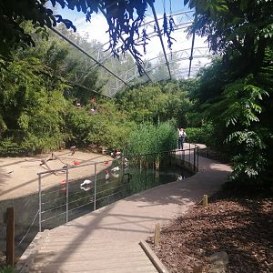 South America - Pantanal Aviary (Species list in comment)