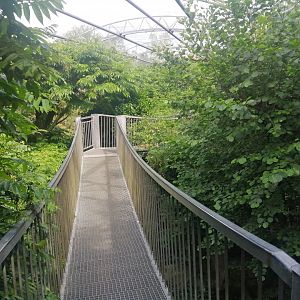 South America - Pantanal Aviary (Species list in comment)