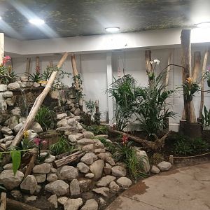 South America - Butterflie's House