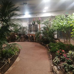 South America - Butterflie's House