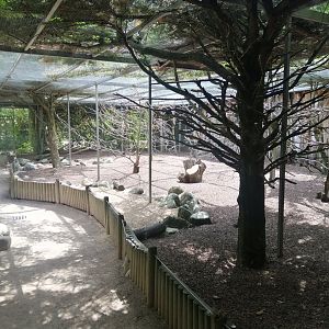 Lovebird's walkthrough Aviary