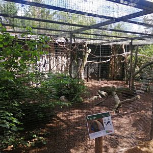 Military Macaw Aviary