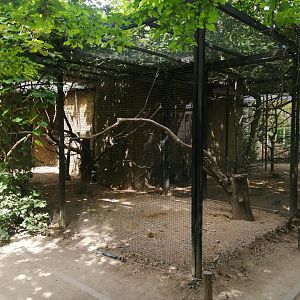 Long-billed Corella and Blue-winged Kookaburra aviary