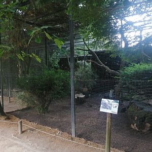 Kea and Laughing Kookaburra Aviary