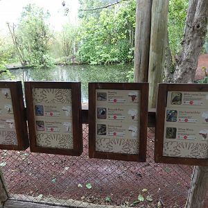 Tsavo aviary species signed