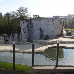 Polar bear exhibit - Karlsruhe Zoo