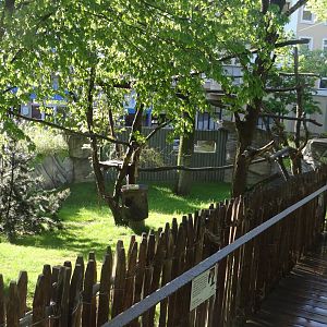 Red panda exhibit - Karlsruhe Zoo