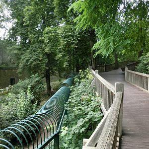 Amur tiger exhibit - visitor path - Landau Zoo