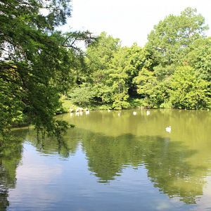 Bird Pond #1 - Lakeside Crossing