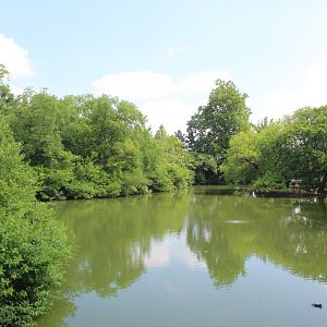 Bird Pond #2 - Lakeside Crossing