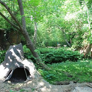 Giant Anteater Exhibit - Rivers Edge