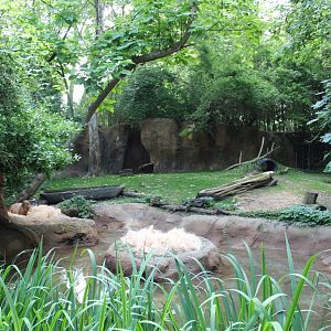 Capybara Exhibit - Rivers Edge